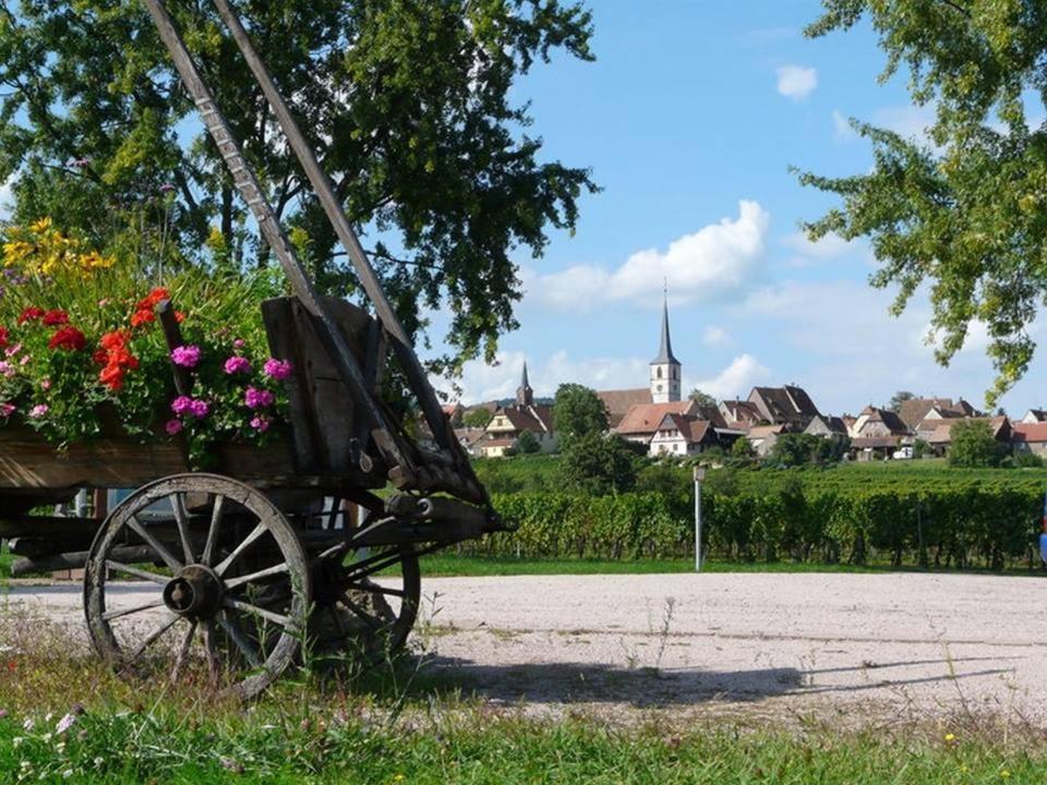 Le Grenier Des Aromes Au Domaine Wittmann Bed and Breakfast Mittelbergheim Buitenkant foto